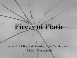 Pieces of Plath