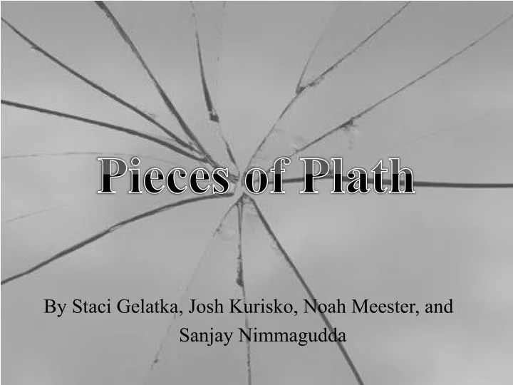 pieces of plath