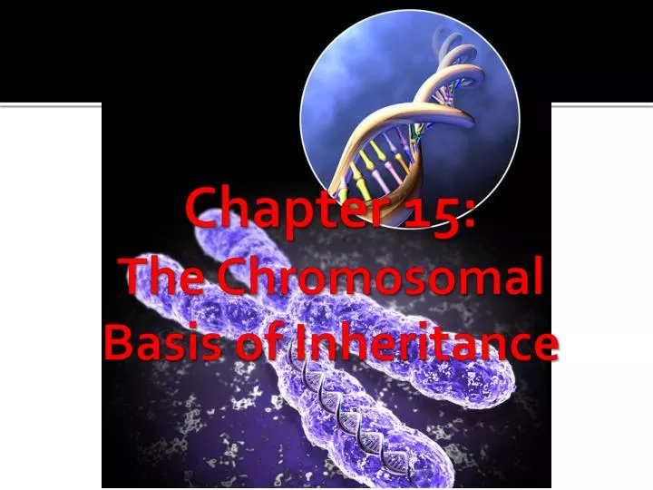 chapter 15 the chromosomal basis of inheritance