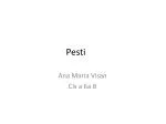 Pesti - slide 1