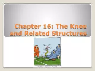 Chapter 16: The Knee and Related Structures