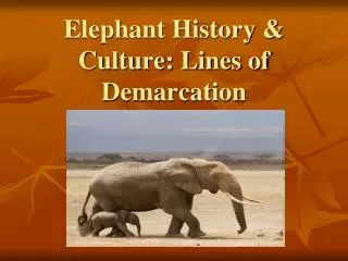 Elephant History &amp; Culture: Lines of Demarcation
