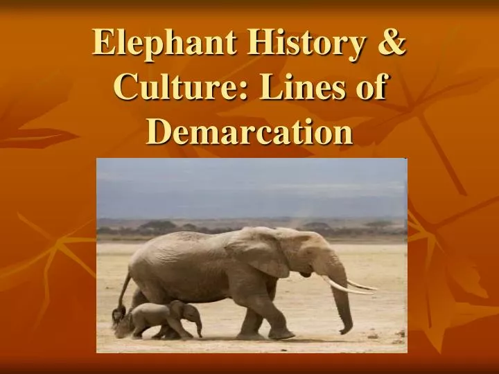 elephant history culture lines of demarcation