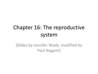 Chapter 16: The reproductive system