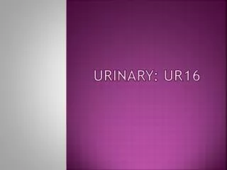 urinary ur16