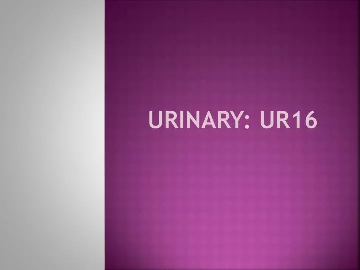 urinary ur16