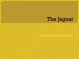 The Jaguar