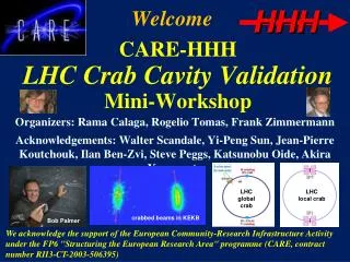 CARE-HHH LHC Crab Cavity Validation Mini-Workshop
