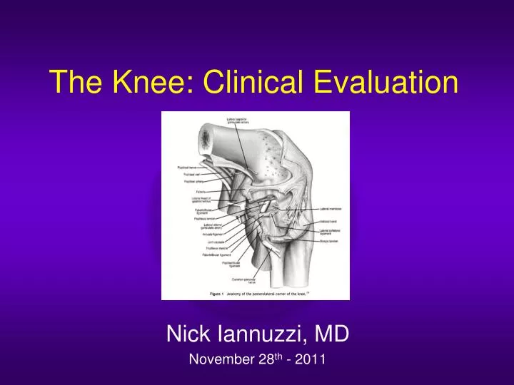 the knee clinical evaluation