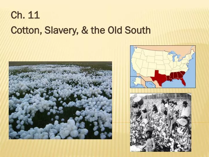 ch 11 cotton slavery the old south