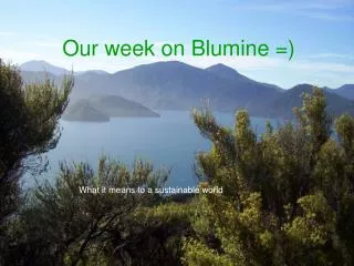Our week on Blumine =)
