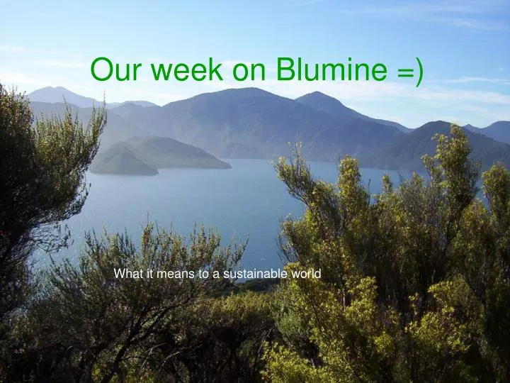 our week on blumine