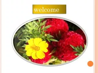 welcome