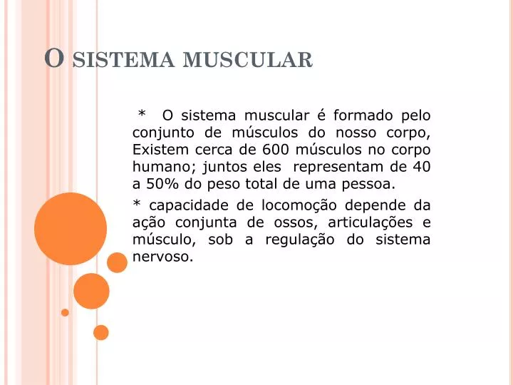 o sistema muscular