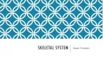 Skeletal System - slide 1