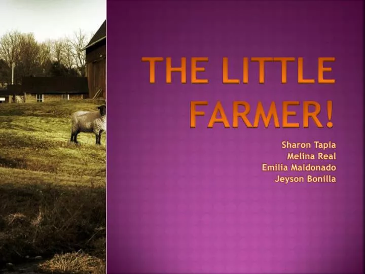 the little farmer