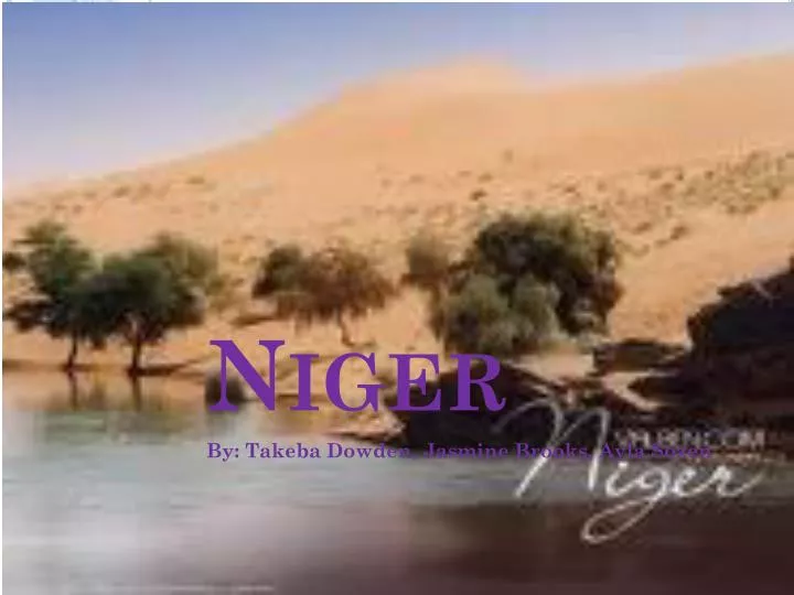 niger