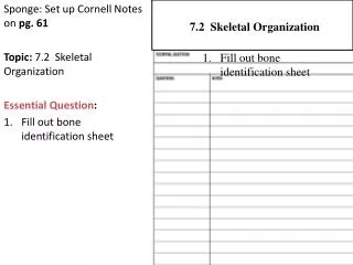 Sponge: Set up Cornell Notes on pg. 61 Topic: 7.2 Skeletal Organization Essential Question :