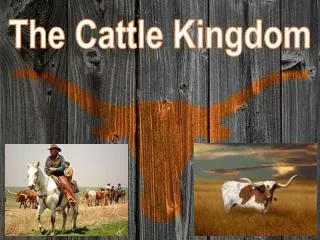 The Cattle Kingdom
