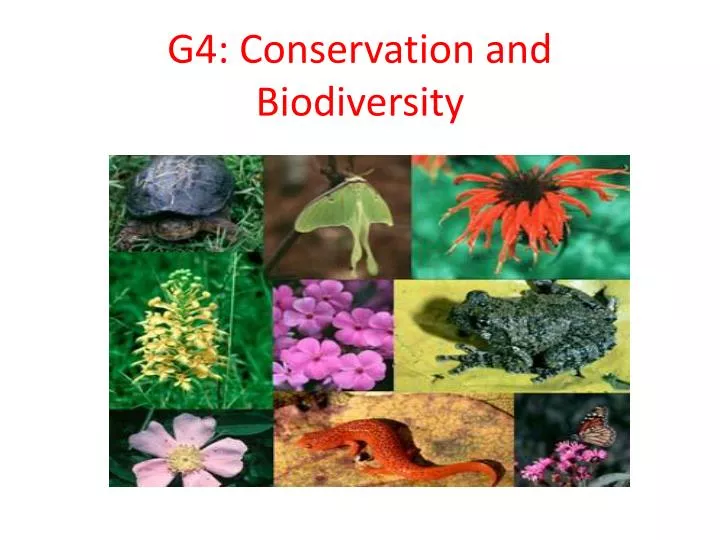 g4 conservation and biodiversity
