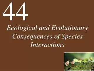 Ecological and Evolutionary Consequences of Species Interactions