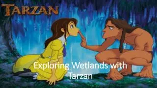 Exploring Wetlands with Tarzan