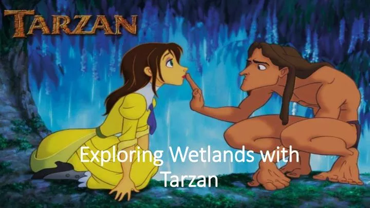 exploring wetlands with tarzan