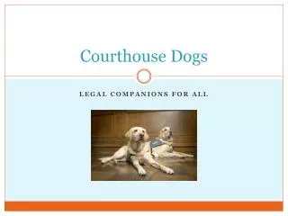 Courthouse Dogs