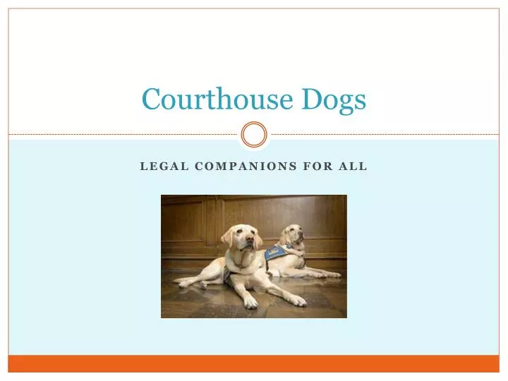 courthouse dogs