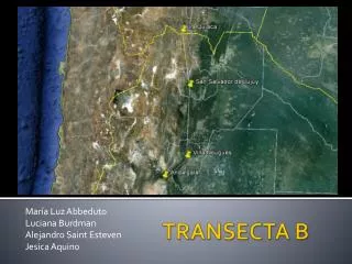 TRANSECTA B