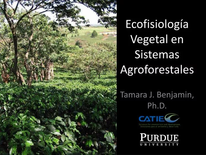 ecofisiolog a vegetal en sistemas agroforestales