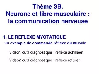 th me 3b neurone et fibre musculaire la communication nerveuse