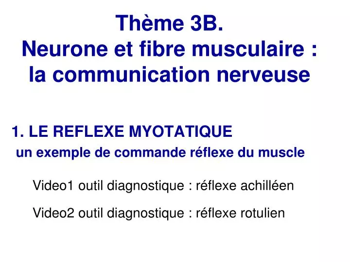 th me 3b neurone et fibre musculaire la communication nerveuse