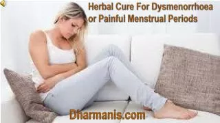 Herbal Cure For Dysmenorrhoea or Painful Menstrual Periods