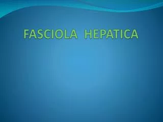 FASCIOLA HEPATICA