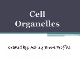 Cell Organelles