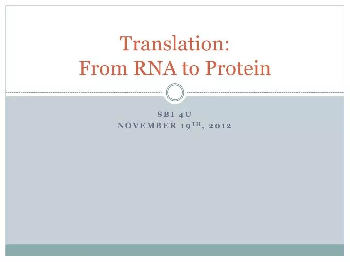 translation from rna to protein