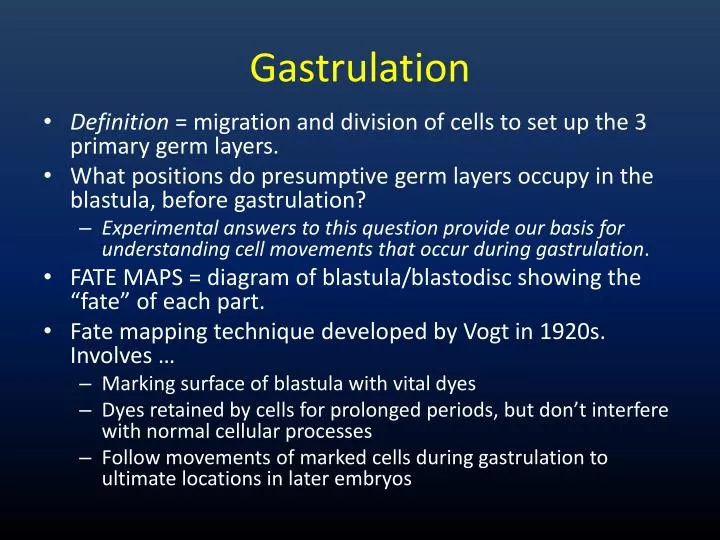 gastrulation