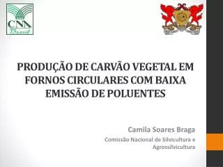 produ o de carv o vegetal em fornos circulares com baixa emiss o de poluentes