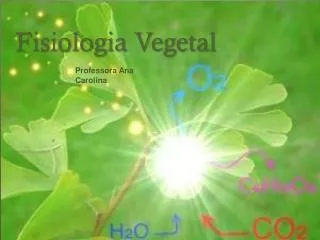 fisiologia v egetal