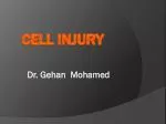 Cell injury - slide 1