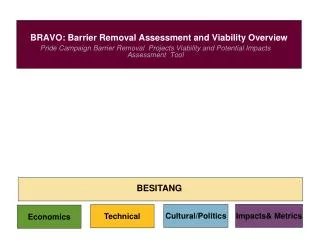 BRAVO: Barrier Removal Assessment and Viability Overview