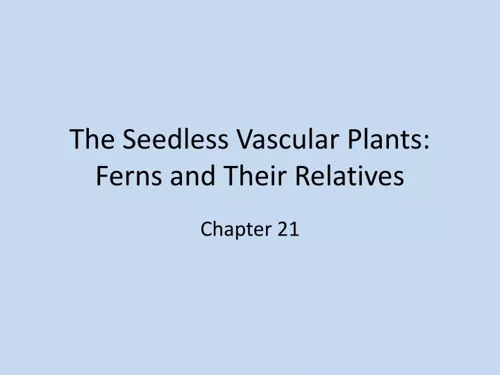 the seedless vascular plants ferns and their relatives