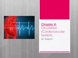 Chapter 4: Circulation (Cardiovascular System)