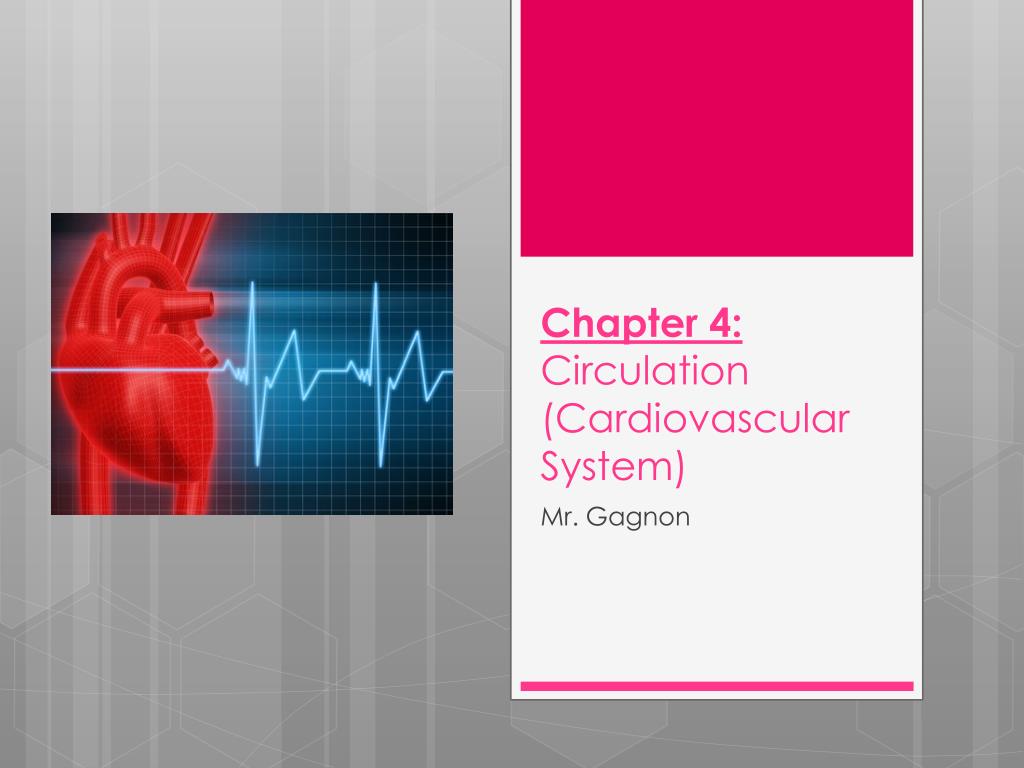 PPT - Chapter 4: Circulation (Cardiovascular System) PowerPoint ...