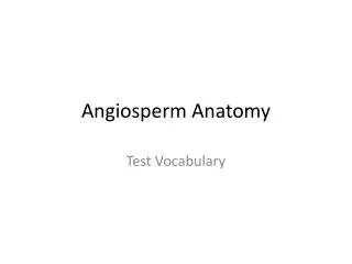 Angiosperm Anatomy