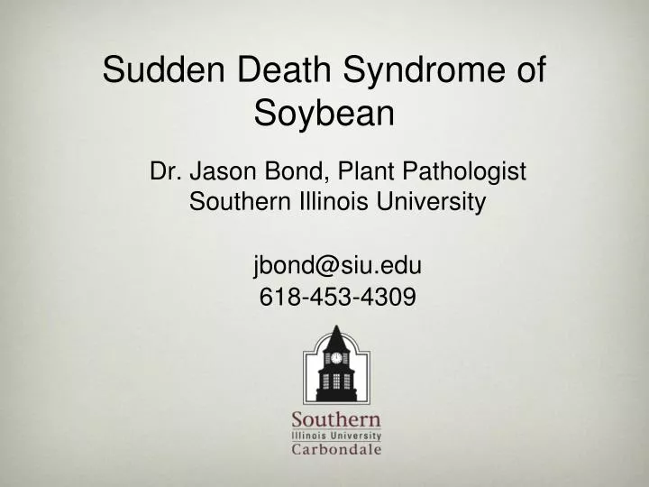 sudden death syndrome of soybean