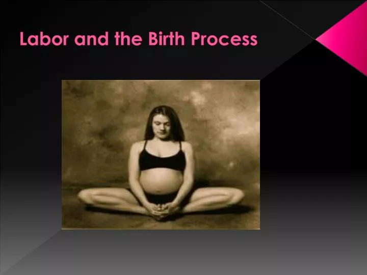 labor and the birth process