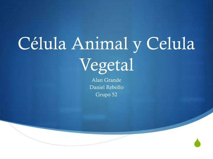 c lula animal y celula vegetal