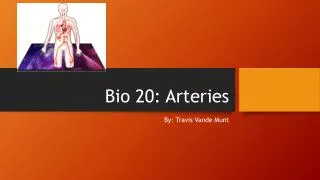 bio 20 arteries